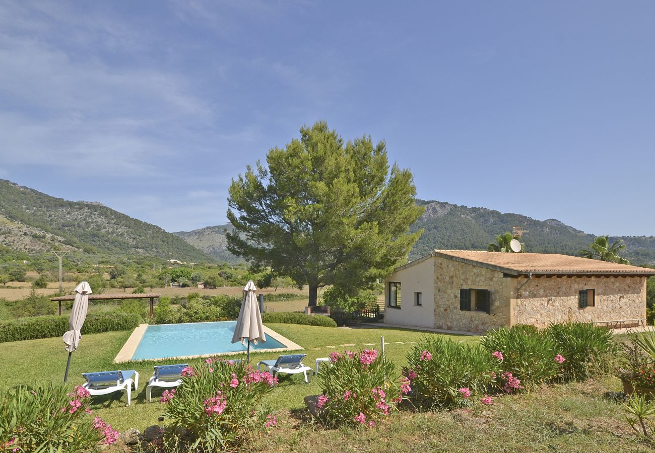 Vista piscina, campo y jardín