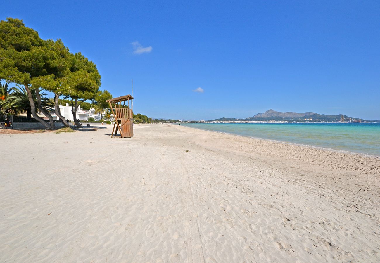 Casa en Alcúdia - Salada