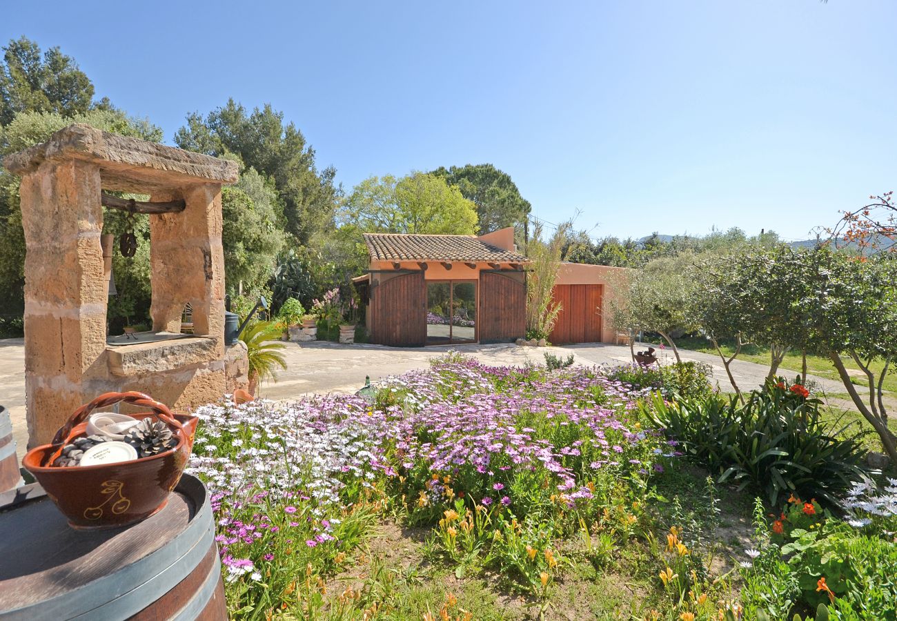 Casa rural en Alcúdia - Torreon