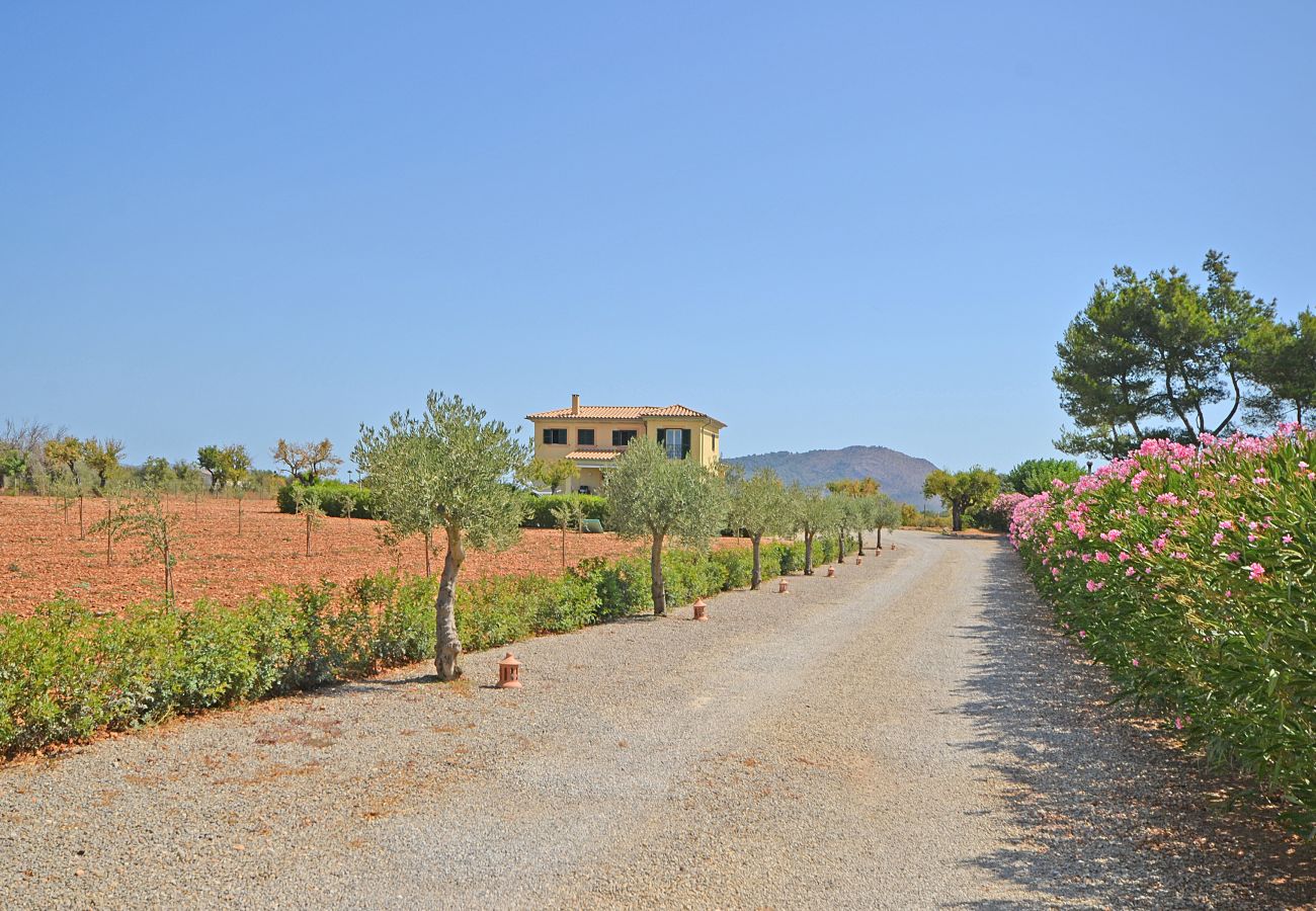 Casa rural en Inca - Ses Nines