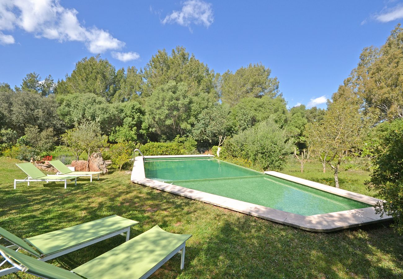 Casa rural en Alcúdia - Spiros Camp Roig