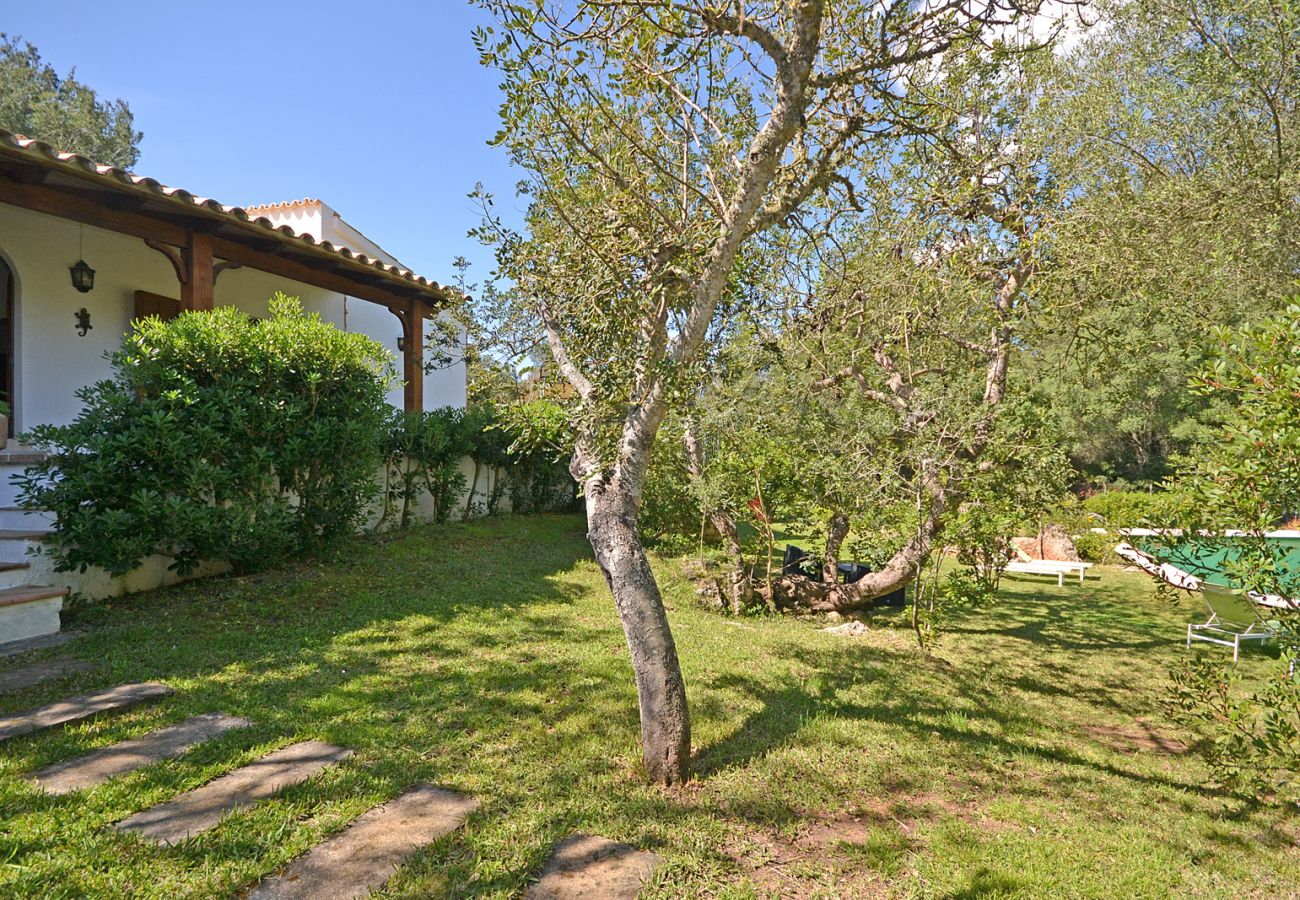 Casa rural en Alcúdia - Spiros Camp Roig