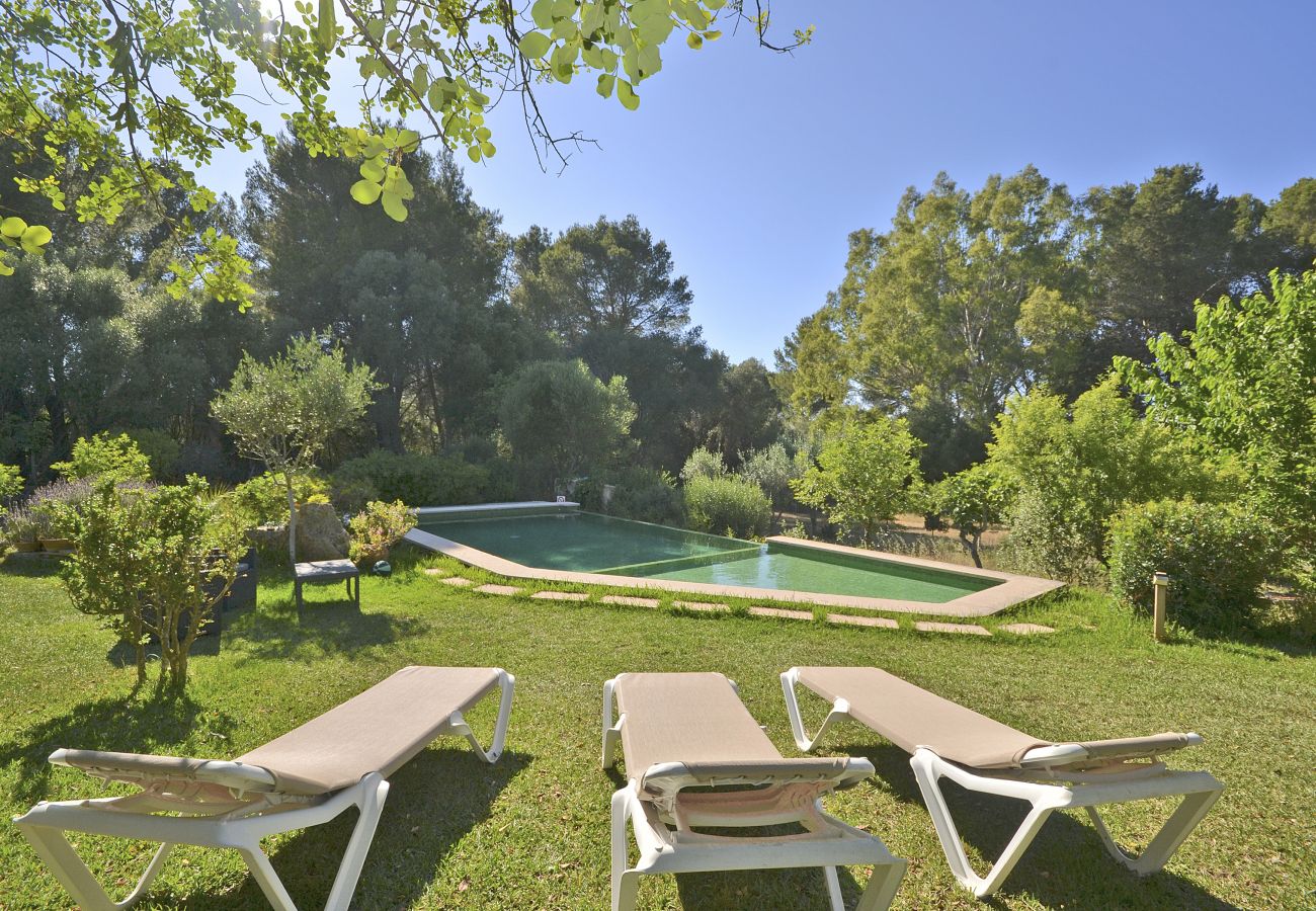 Casa rural en Alcúdia - Spiros Camp Roig