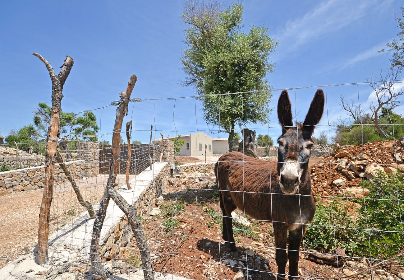 Casa rural en Arta - Ses Veyetes