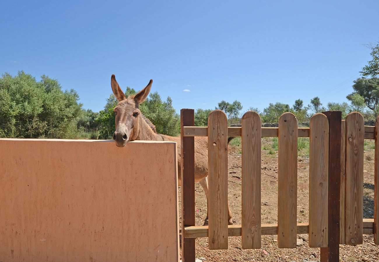 Casa rural en Ariany - Calderitx