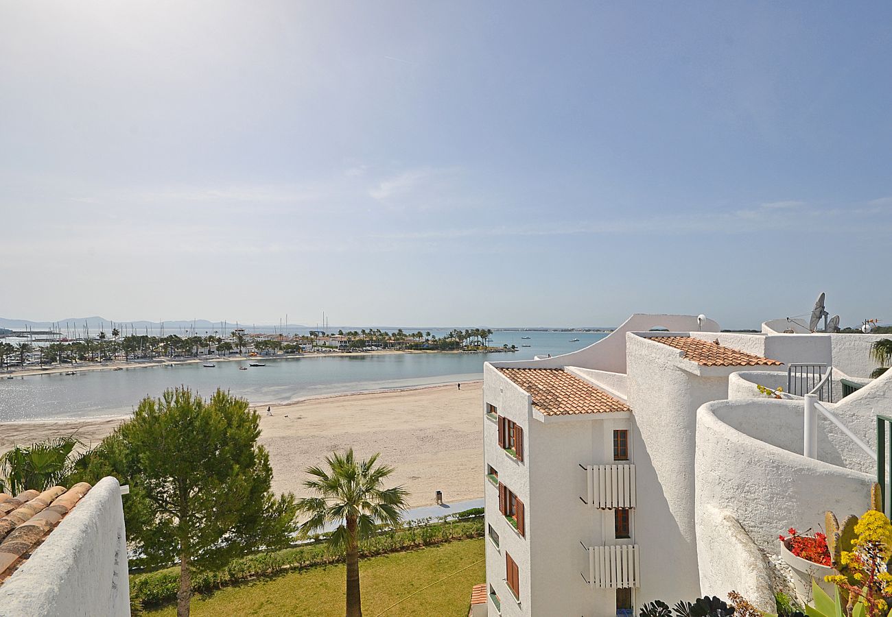 Apartamento en Alcúdia - Alcudia Sea