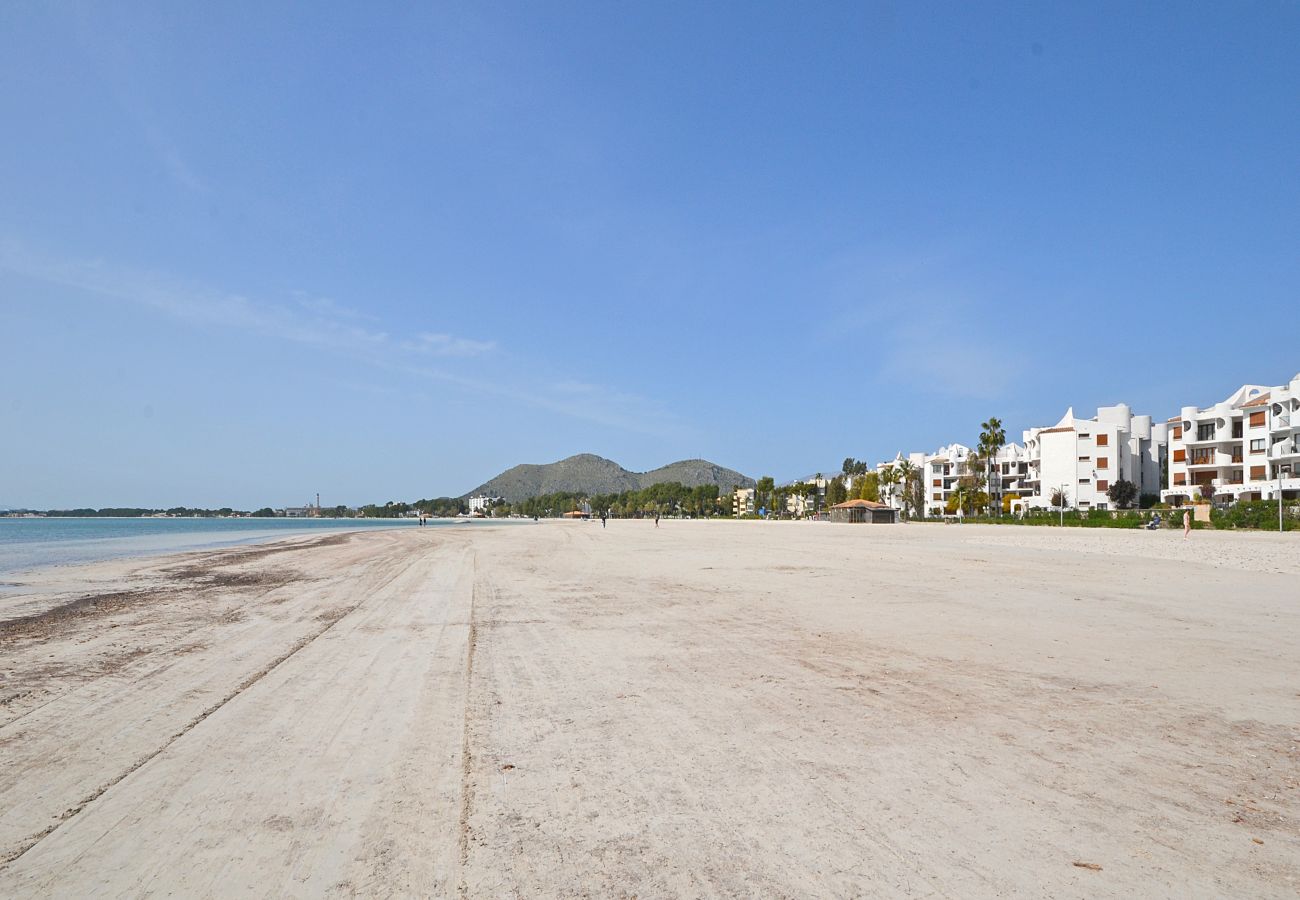 Apartamento en Alcúdia - Alcudia Sea