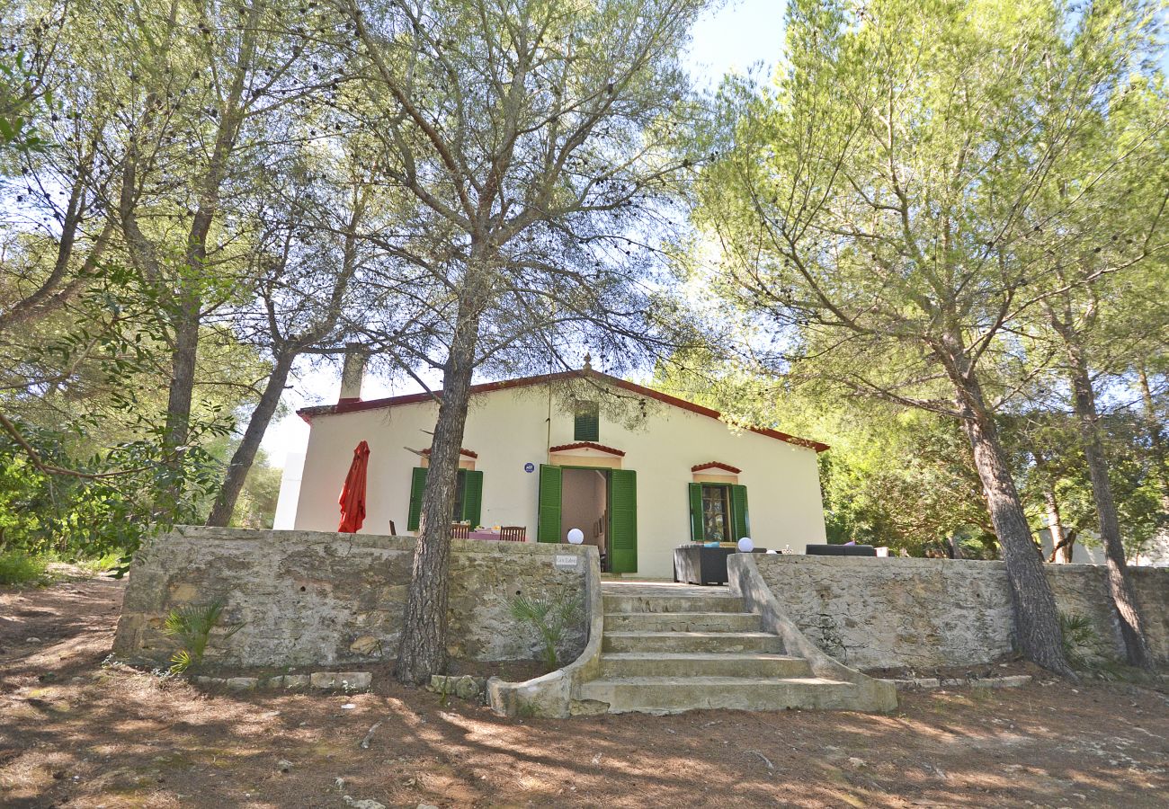 Casa en Alcúdia - Teresa