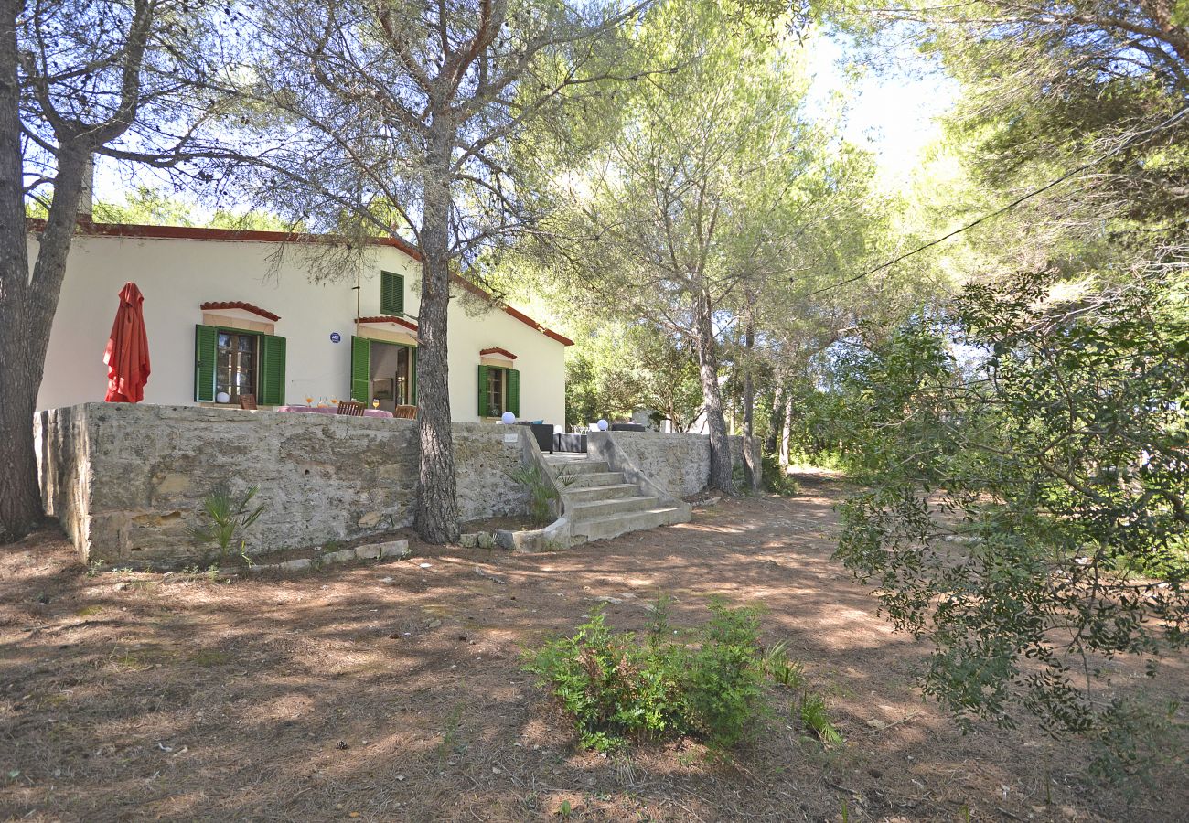 Casa en Alcúdia - Teresa