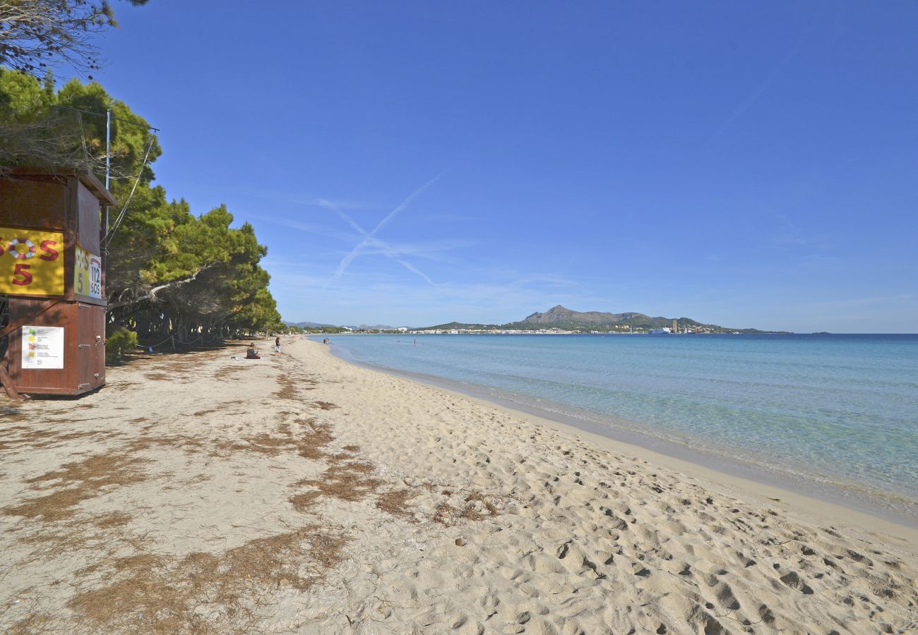 Apartamento en Puerto de Alcudia - Playa de los  pinos