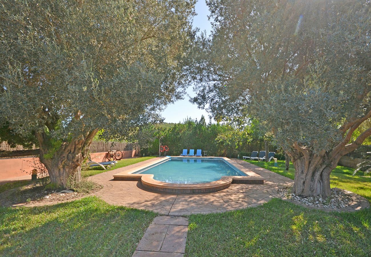 Finca in Alcudia - Quart