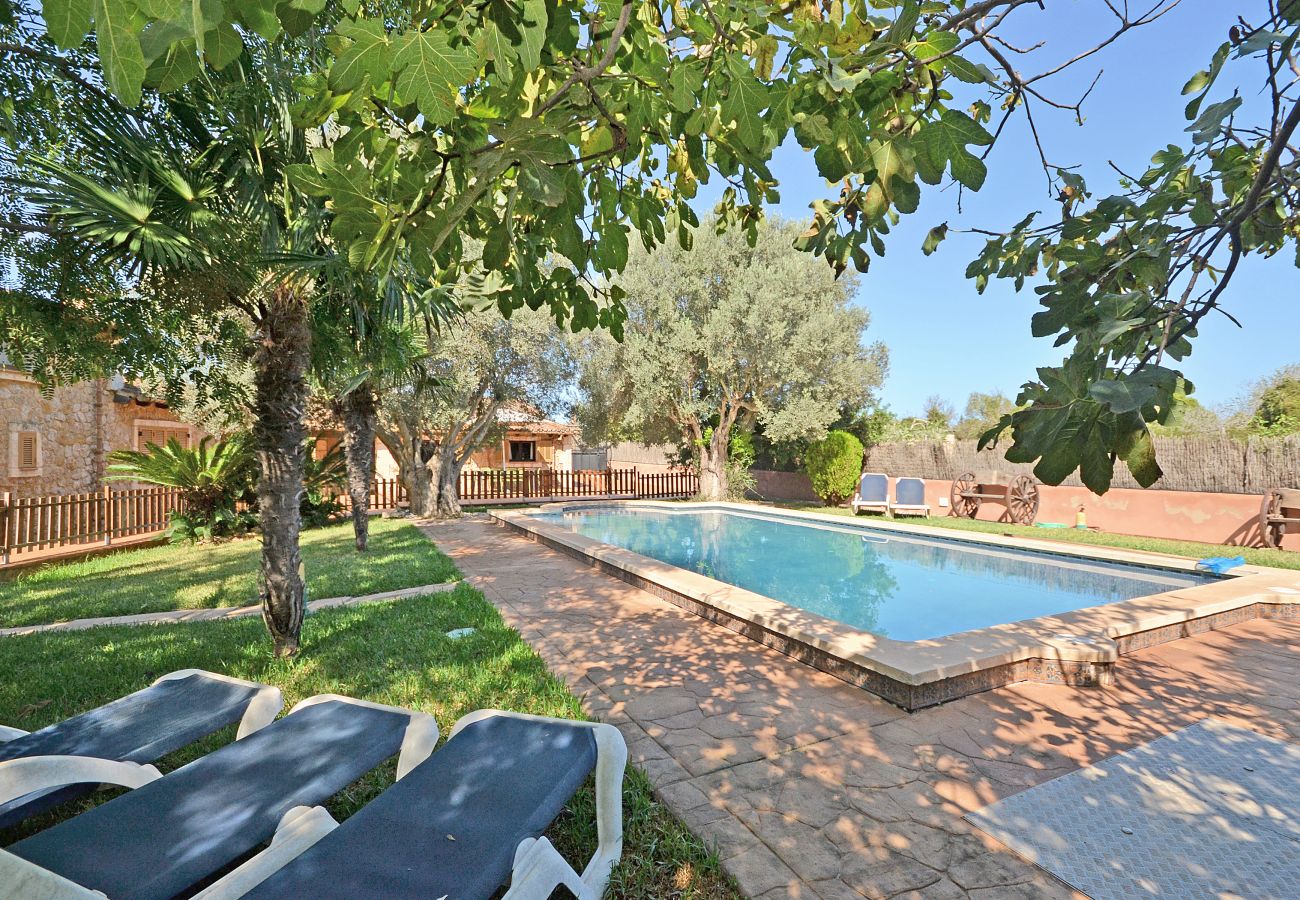 Finca in Alcudia - Quart