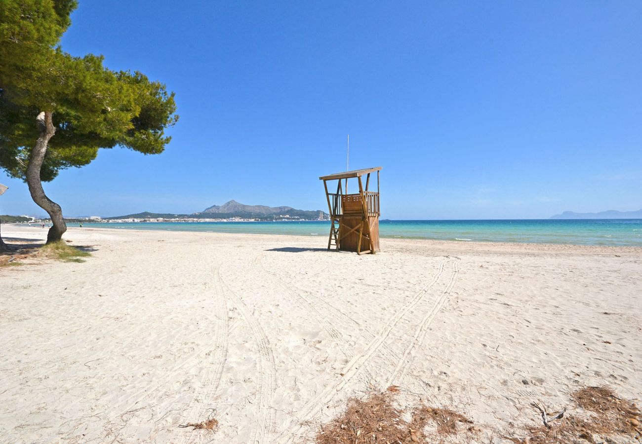 Ferienhaus in Alcudia - Salada