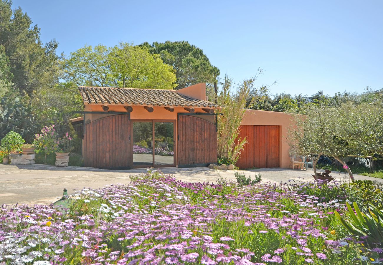 Landhaus in Alcudia - Torreon