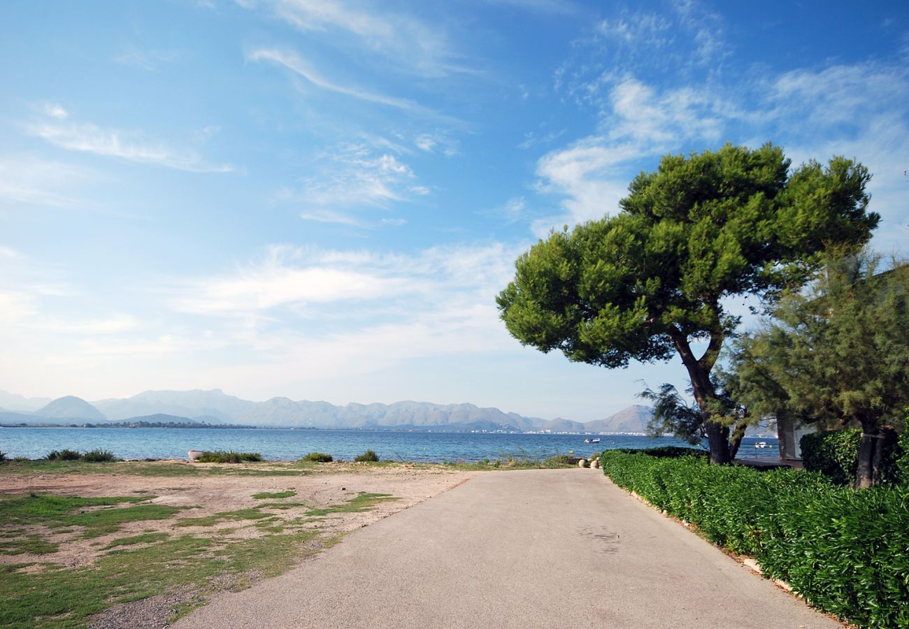 Ferienwohnung in Alcudia - Sunset