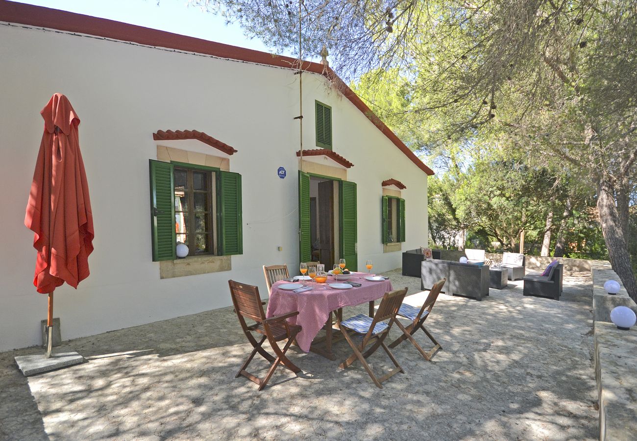 Ferienhaus in Alcudia - Teresa