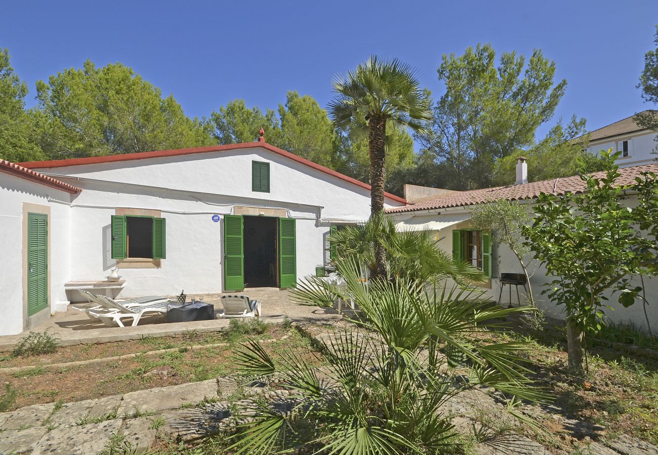 Ferienhaus in Alcudia - Teresa