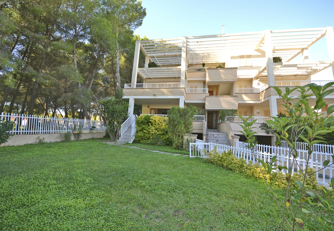 Ferienwohnung in Puerto de Alcudia - Playa de los  pinos