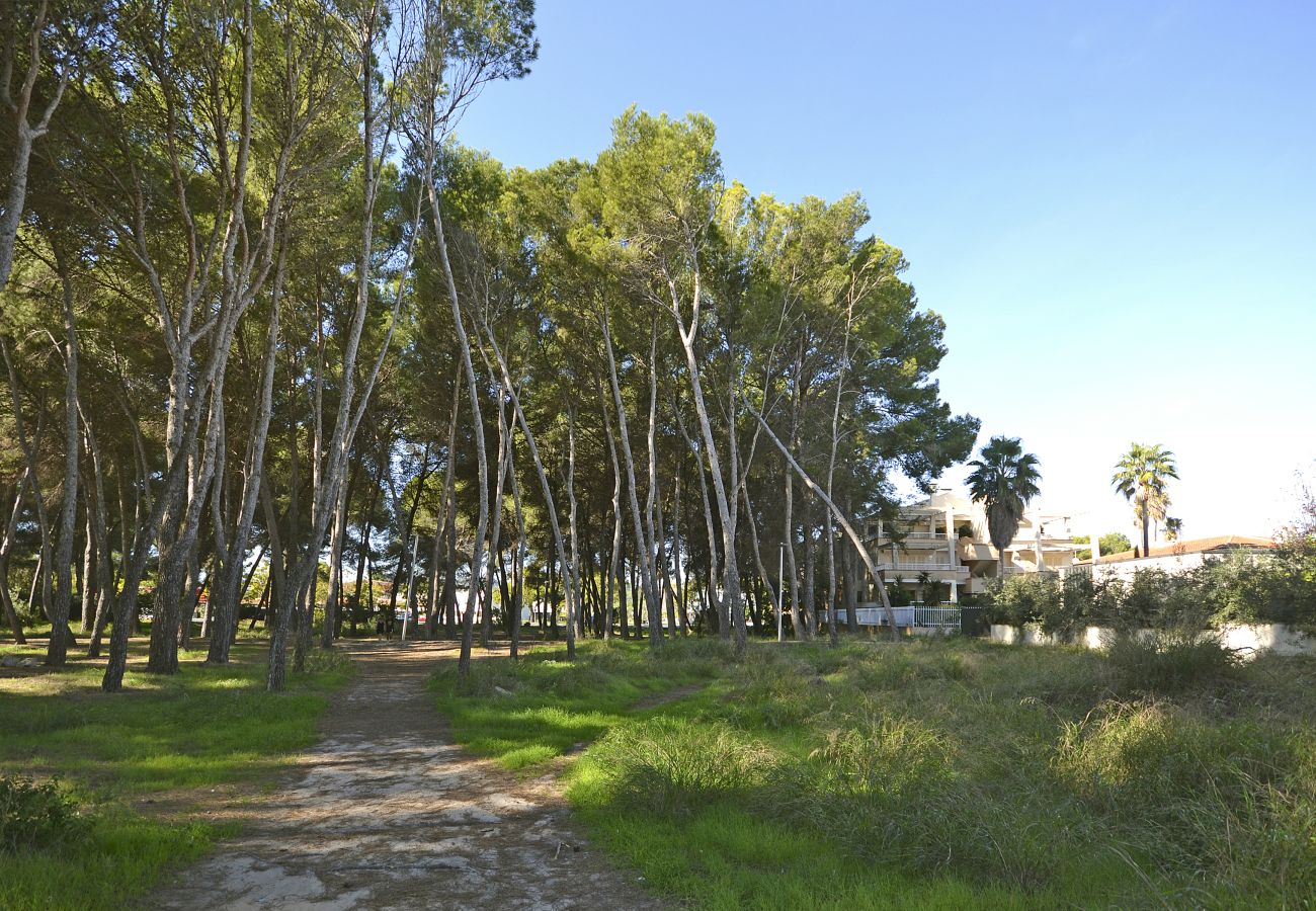 Ferienwohnung in Puerto de Alcudia - Playa de los  pinos