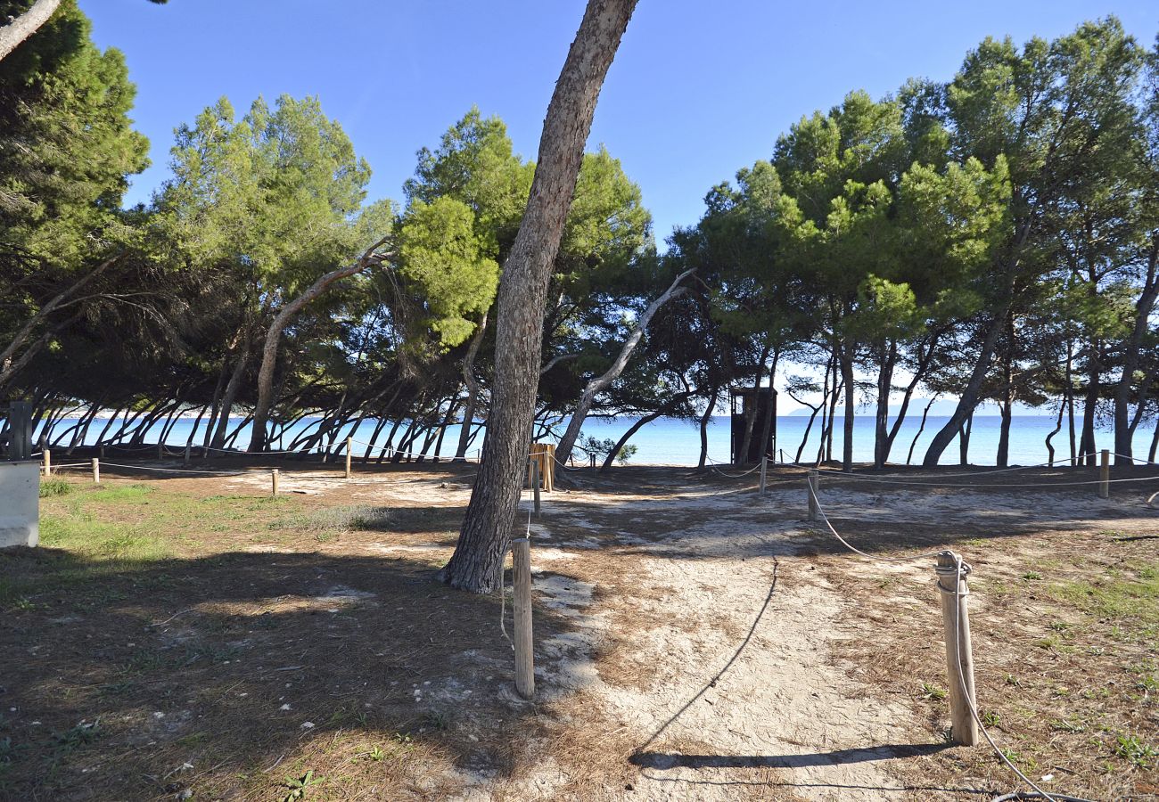 Ferienwohnung in Puerto de Alcudia - Playa de los  pinos