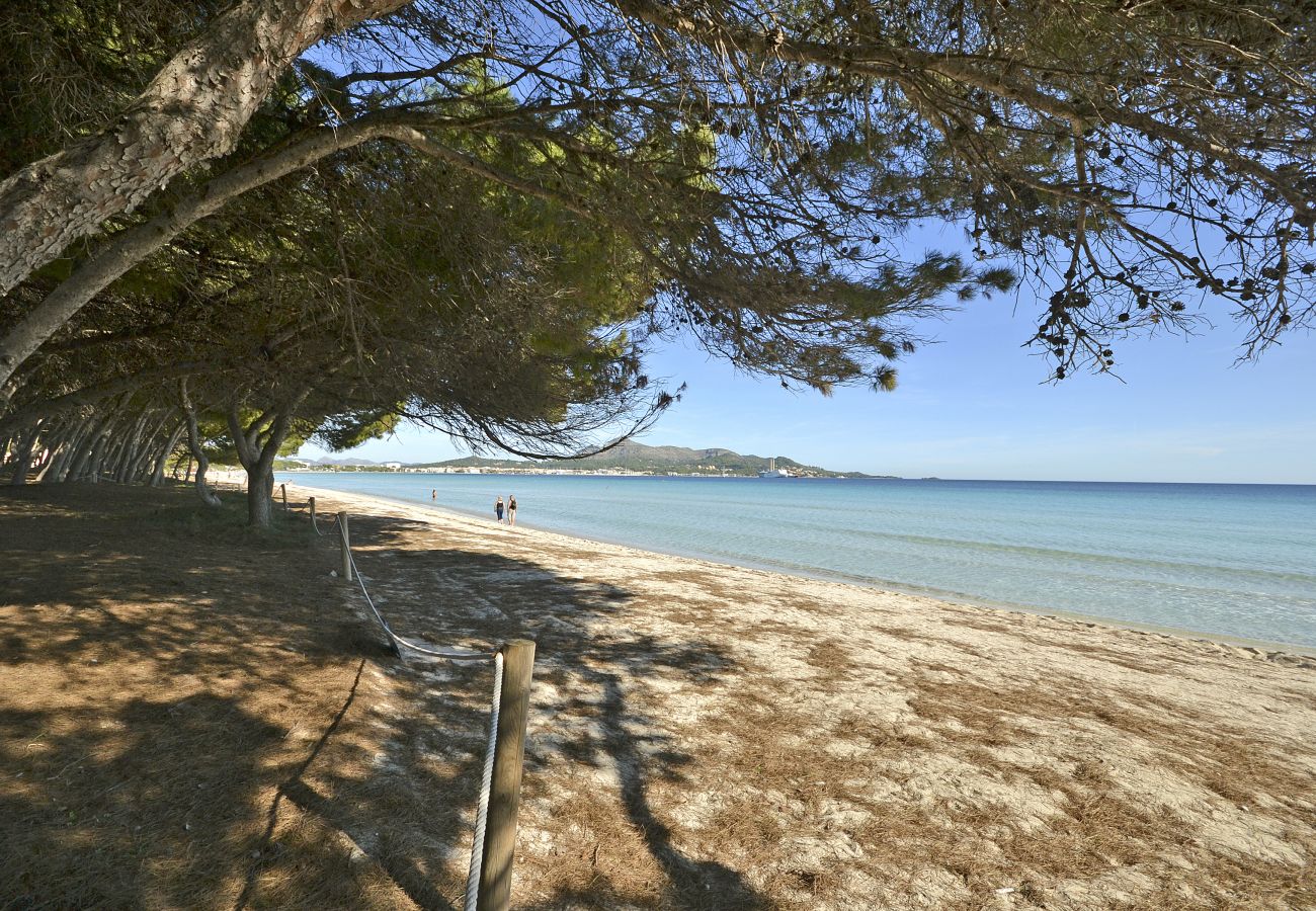 Ferienwohnung in Puerto de Alcudia - Playa de los  pinos