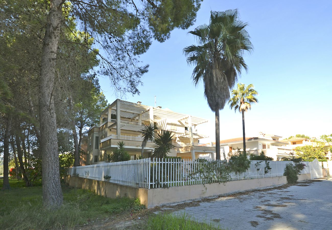 Ferienwohnung in Puerto de Alcudia - Playa de los  pinos