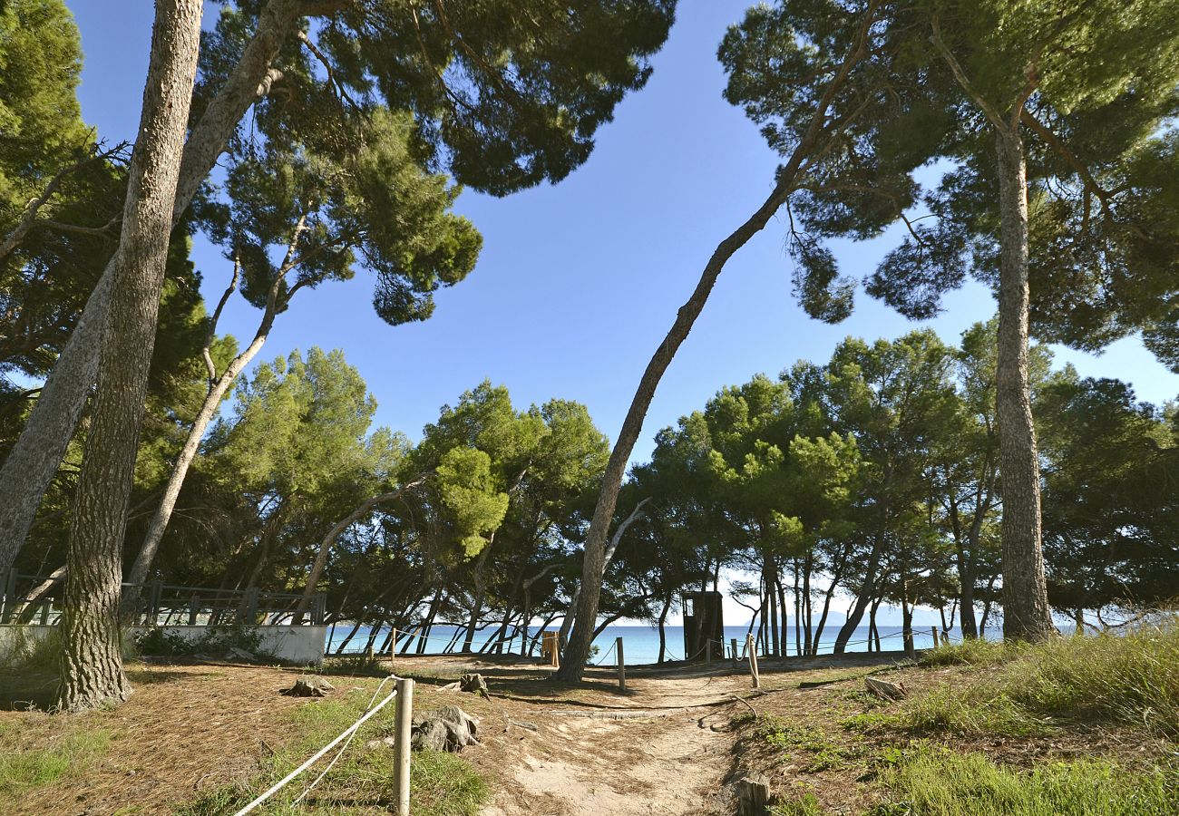 Ferienwohnung in Puerto de Alcudia - Playa de los  pinos