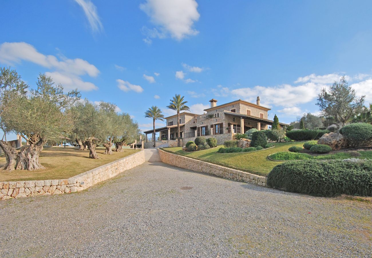 Country house in Ariany - Canova