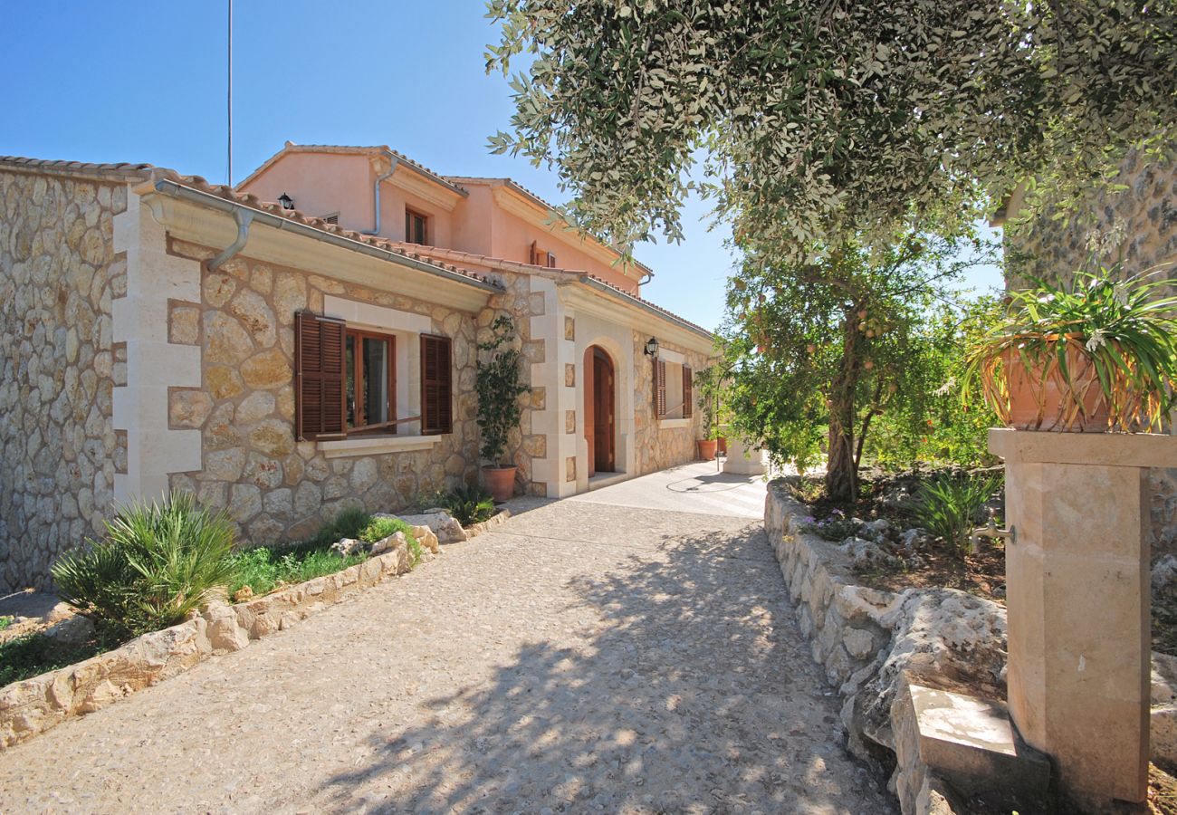 Country house in Campanet - Pla de ses rotes