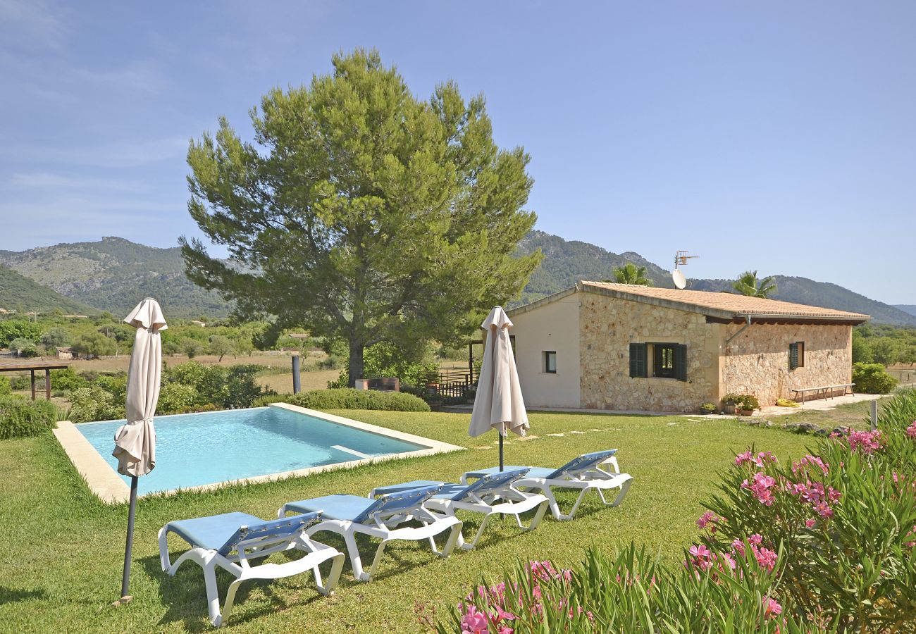 views, pool, garden, face