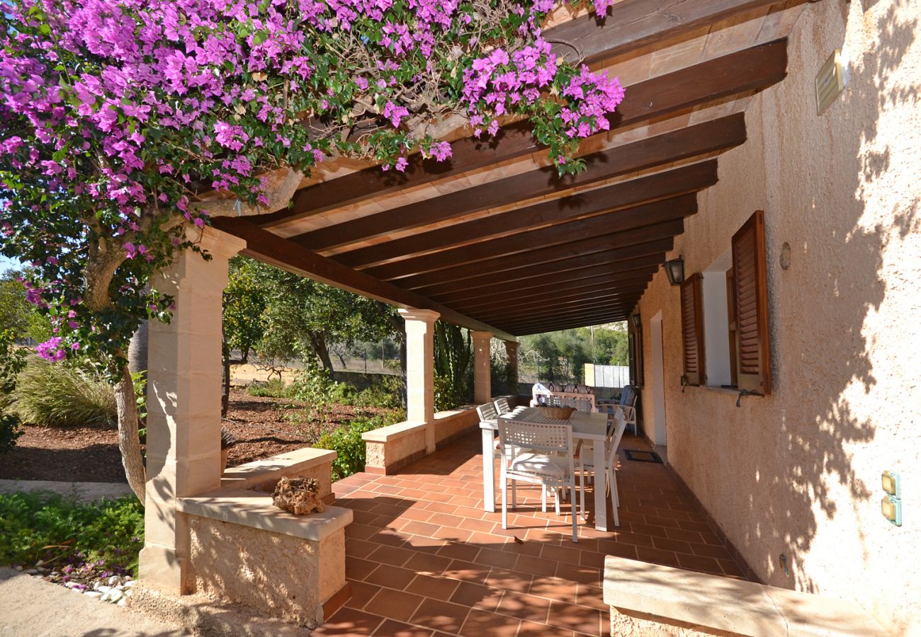 Country house in Pollensa - Tonina