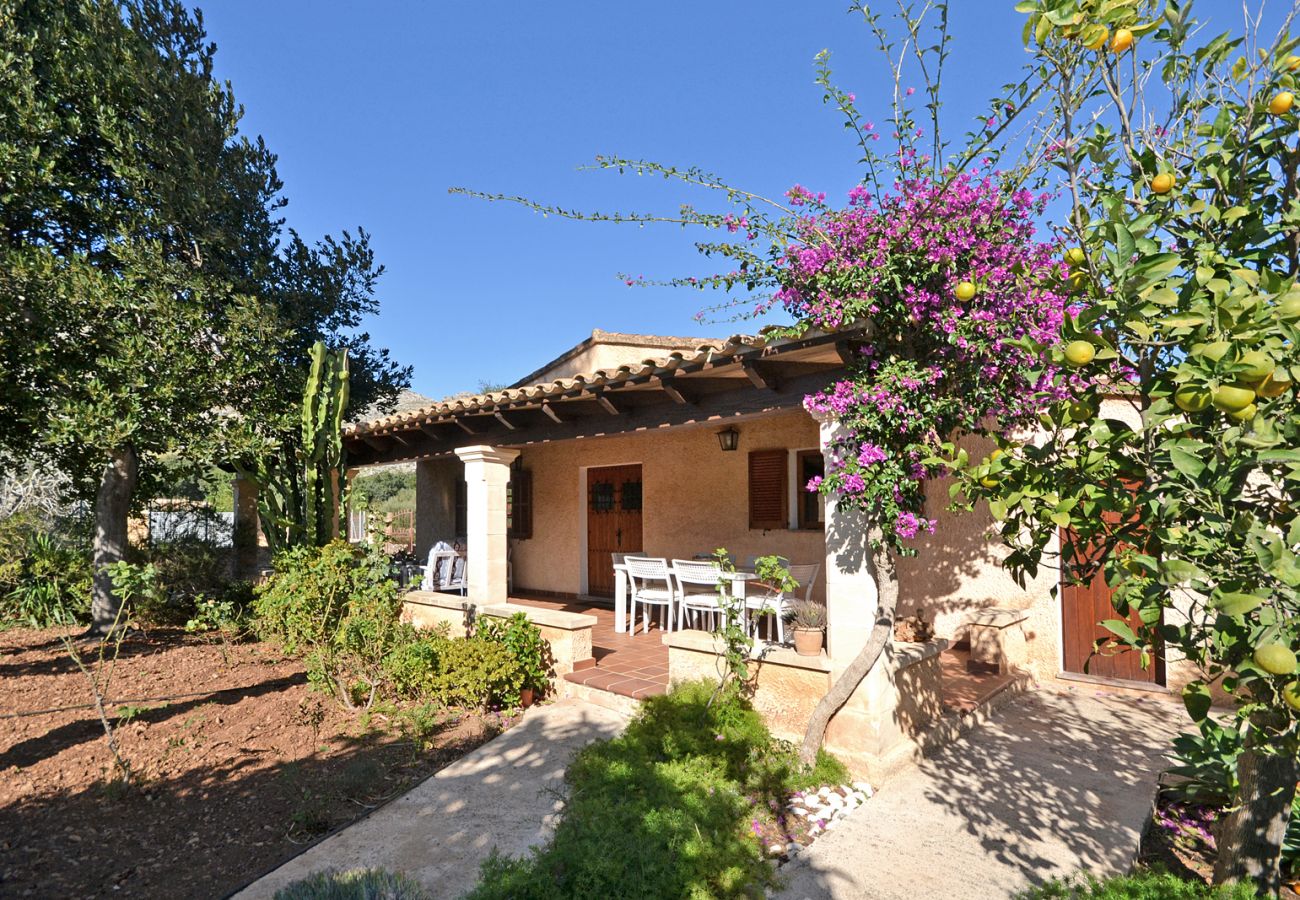 Country house in Pollensa - Tonina