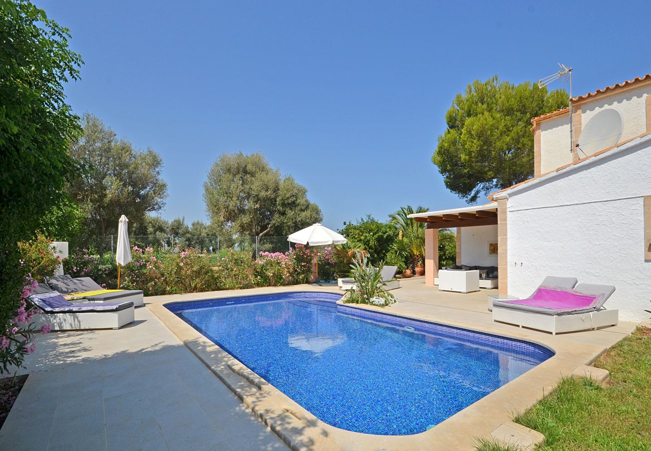 Chalet in Alcudia - Odette