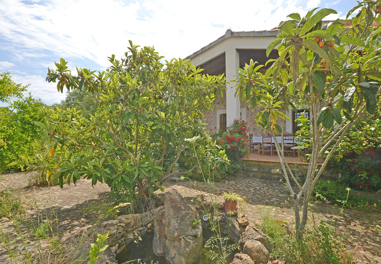 Cottage in Buger - Tresco 11