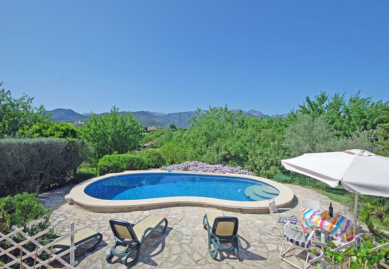 Country house in Mancor de la Vall - Son Net 6