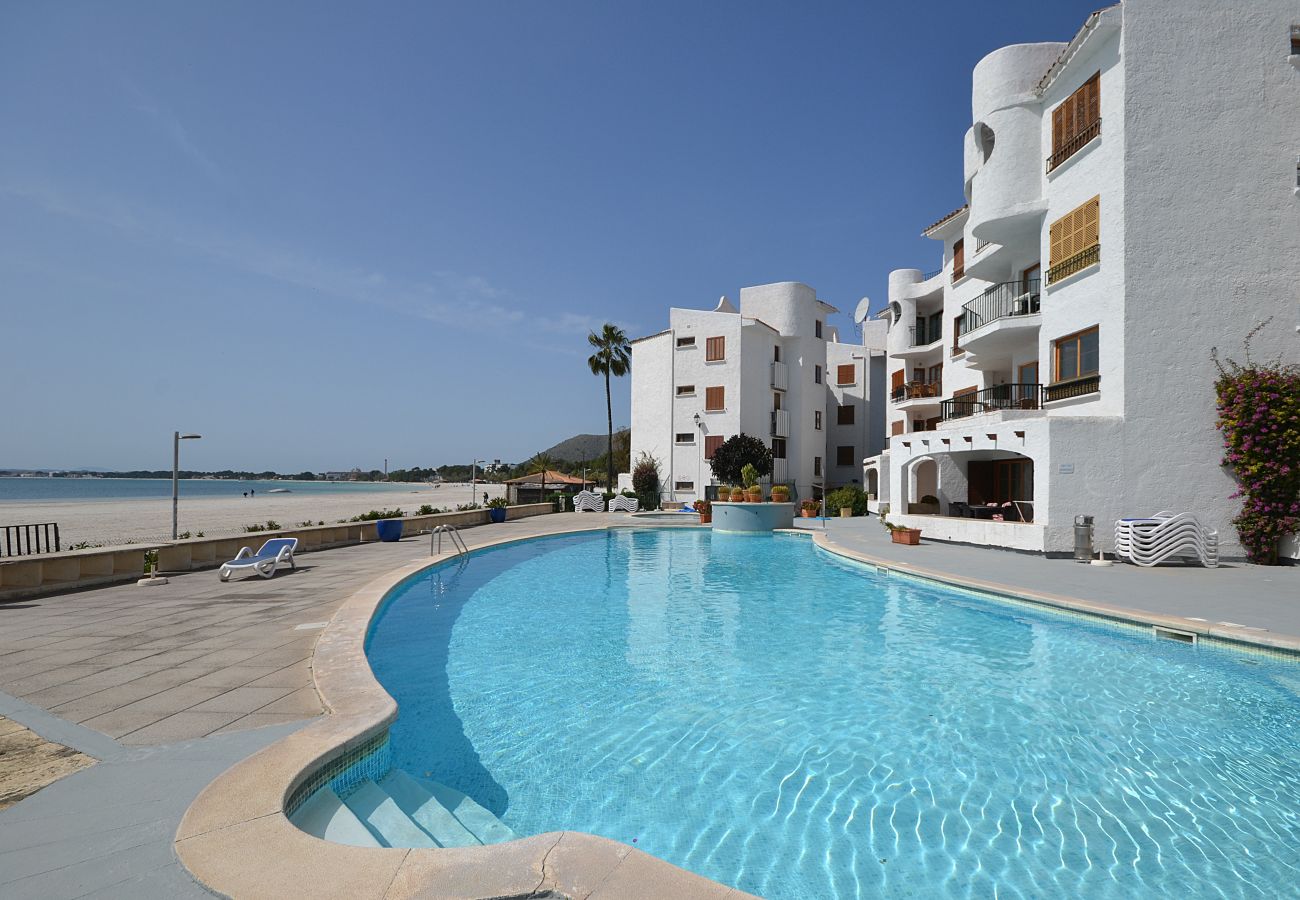 Apartment in Alcudia - Alcudia Sea