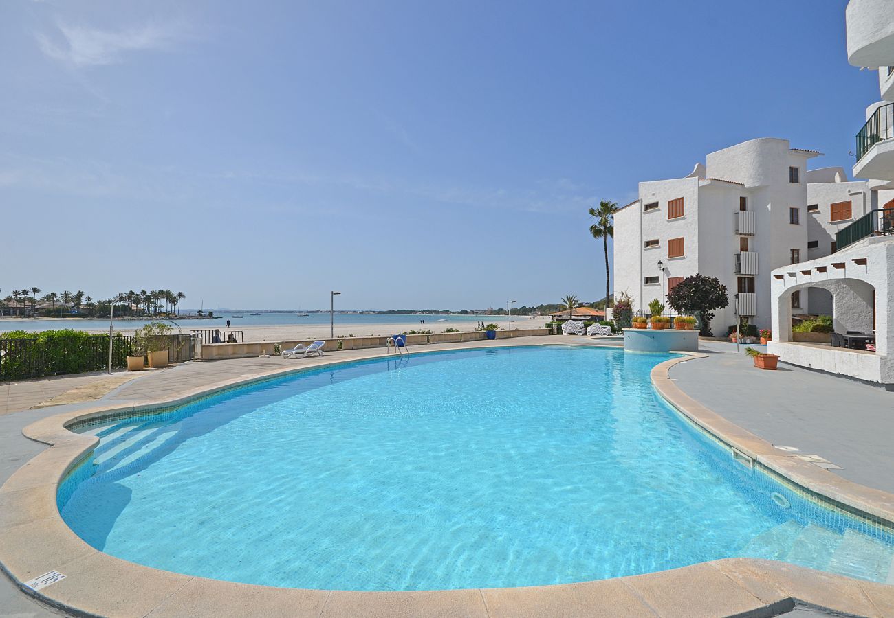 Apartment in Alcudia - Alcudia Sea