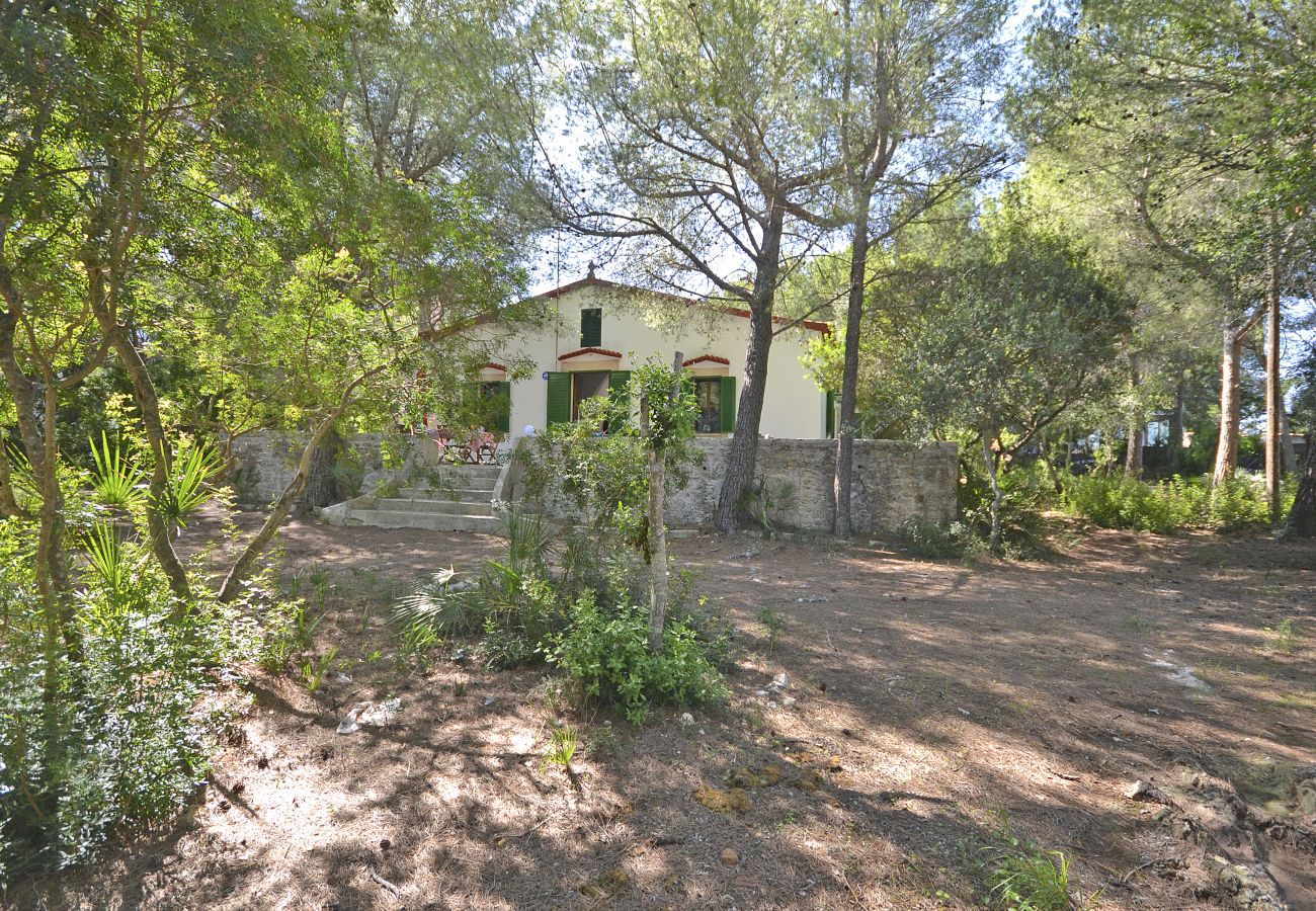 House in Alcudia - Teresa